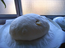 ぱん (2).jpg