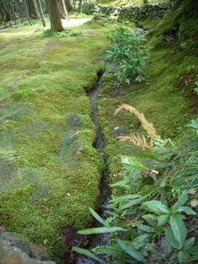 写真 051.jpg