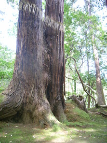 写真 058.jpg