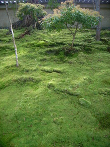 写真 065.jpg