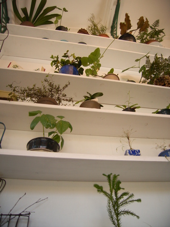 田中美穂植物 (40).jpg