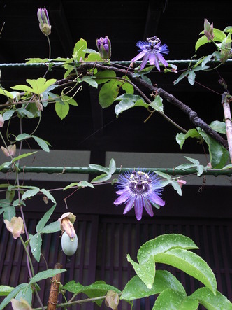 0907070809 013.jpg