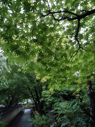 0907070809 020.jpg