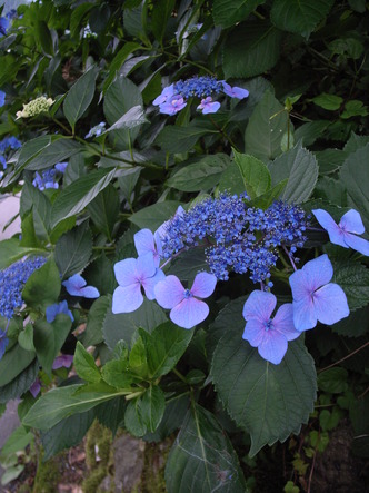 0907070809 034.jpg