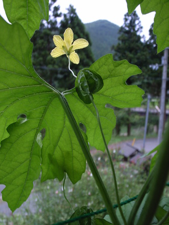 0907070809 037.jpg