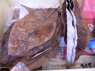 0909kotentakayama 151.jpg