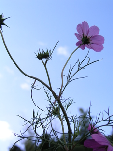 10.10sanpo 004.jpg