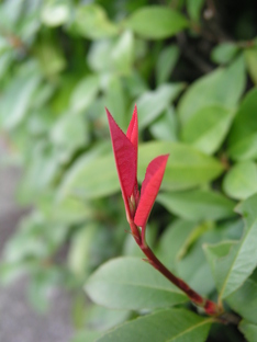 10.10sanpo 021.jpg