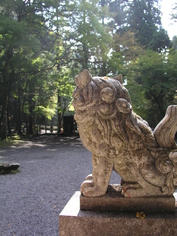 11gatu 039.jpg
