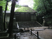 11gatu 070.jpg