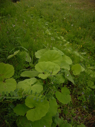 200904 (52).jpg