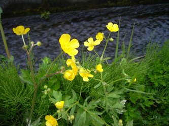 200904 (53).jpg