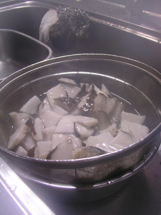 2010.1gatu 049.jpg