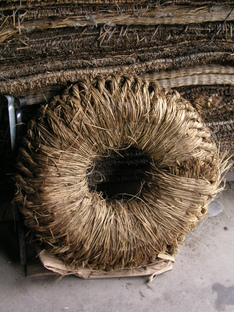 2010.1gatu 071.jpg