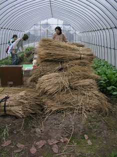 2010.1gatu 072.jpg