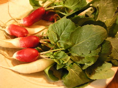 2010.1gatu1 003.jpg