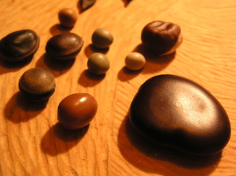 20100203 006.jpg