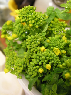20100209 001.jpg