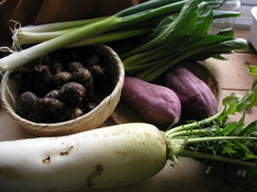 20100209a 003.jpg