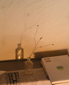 20100224 036a.jpg