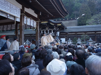 201102mame 034.jpg