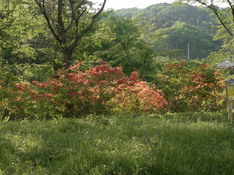 20110518 455.jpg