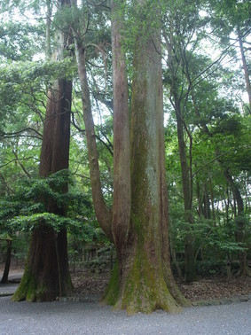 201106gatuchujyun 090.jpg