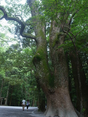 201106gatuchujyun 091.jpg