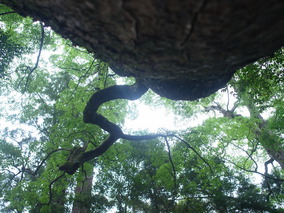 201106gatuchujyun 094.jpg