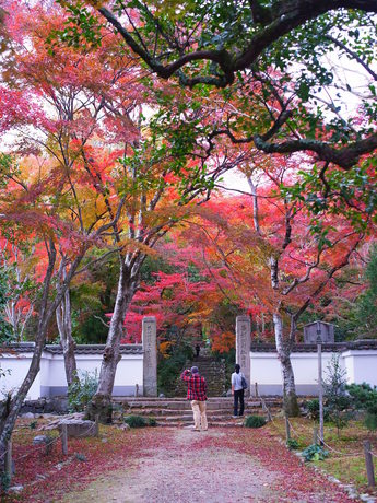 201112koyo 084.jpg