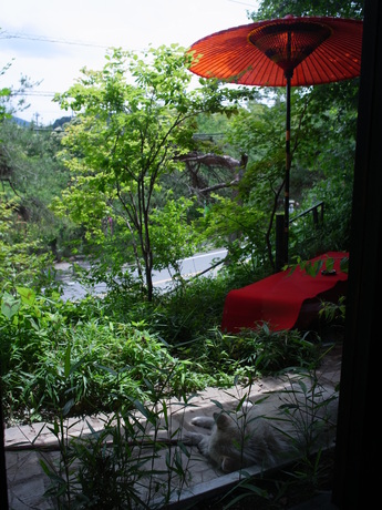 201206gatuakari2 068.jpg