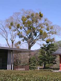 3gatutenjiuji 015.jpg