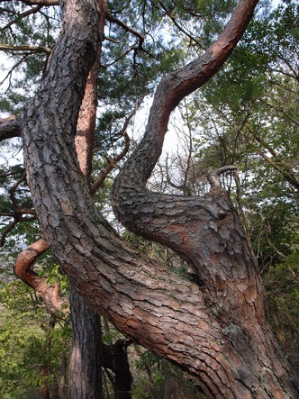 R0018759.JPG