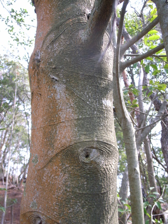 R0018763.JPG