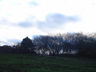 fumfum (27).jpg