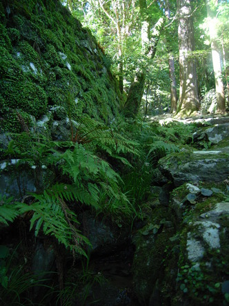 kouzannji (23).jpg