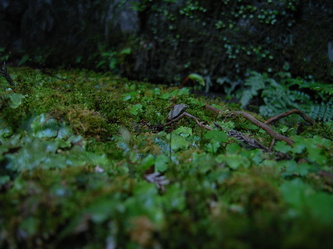 kouzannji (33).jpg