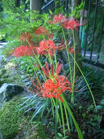 kouzannji (4).jpg