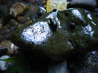 kouzannji (61).jpg