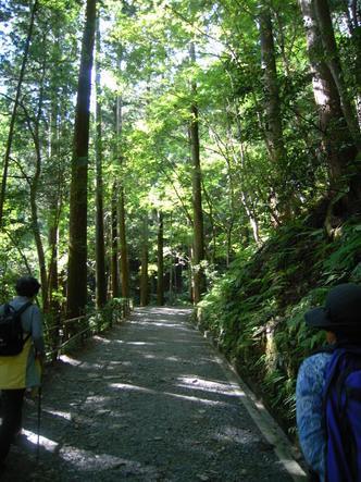kurama (16).jpg