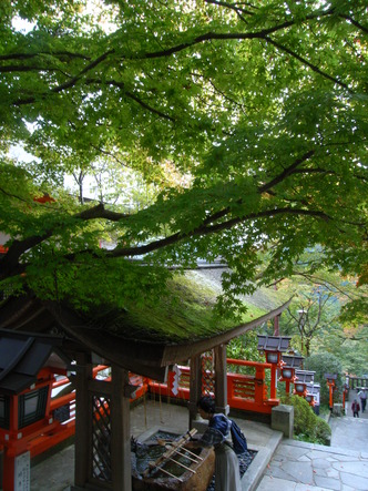 kurama (30).jpg
