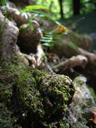 kurama (40).jpg