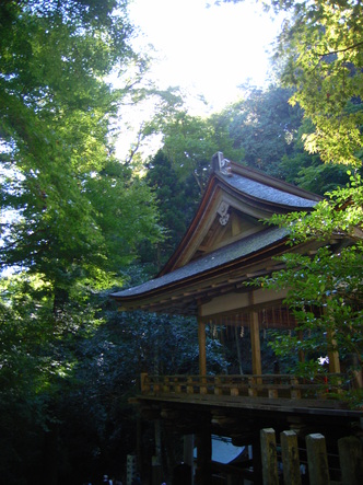 kurama (41).jpg