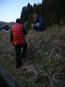 miyama (42).jpg
