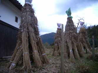 miyama (64).jpg