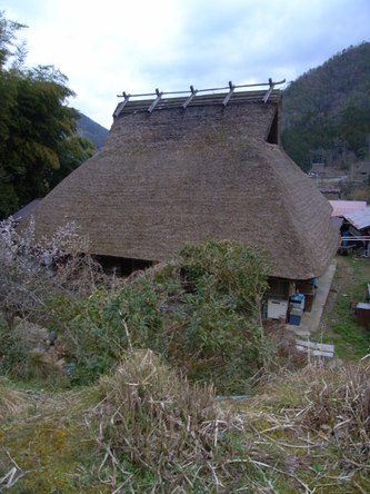 miyama (66).jpg
