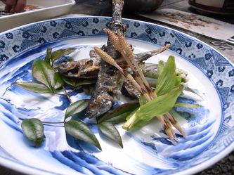 miyama2 (22).jpg