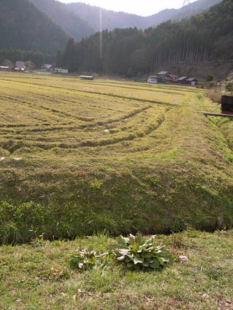 miyama2 (47).jpg