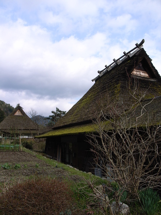 miyama2 (53).jpg