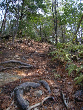 mori (14).jpg
